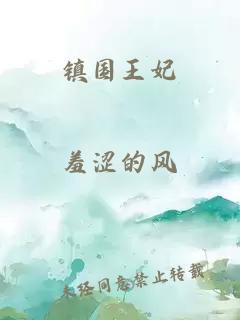 鎮(zhèn)國王妃