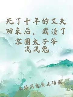 死了十年的丈夫回來后，我渣了京圈太子爺