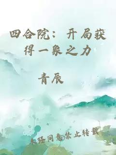 四合院：開(kāi)局獲得一象之力