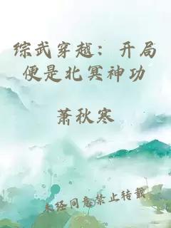 綜武穿越：開局便是北冥神功