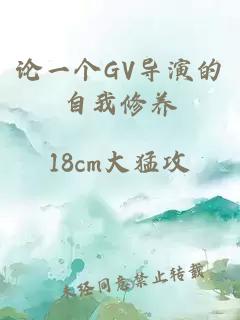 論一個GV導(dǎo)演的自我修養(yǎng)