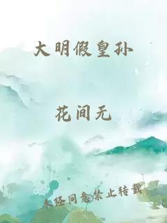 大明假皇孫